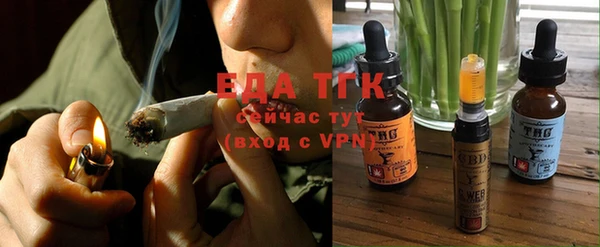 индика Балабаново