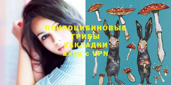 мяу мяу кристалл Арсеньев